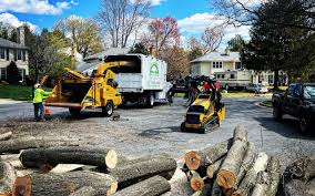 Best Seasonal Cleanup (Spring/Fall)  in Glen Gardner, NJ