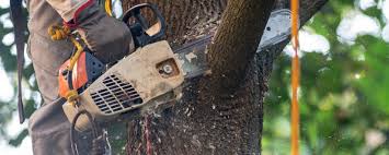 Best Soil Testing and Treatment  in Glen Gardner, NJ