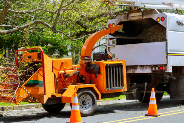 Best Emergency Tree Removal  in Glen Gardner, NJ