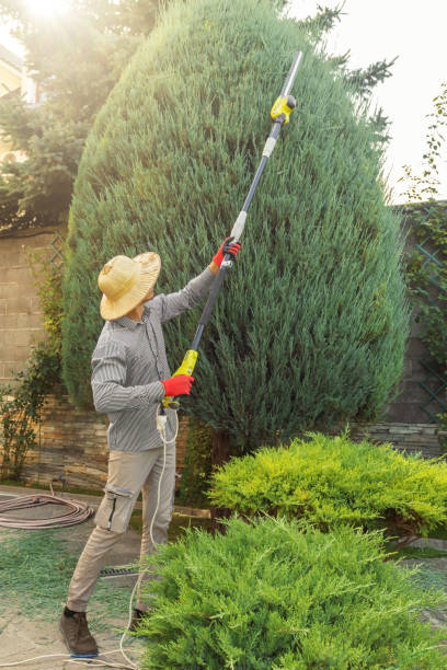 Best Commercial Tree Services  in Glen Gardner, NJ